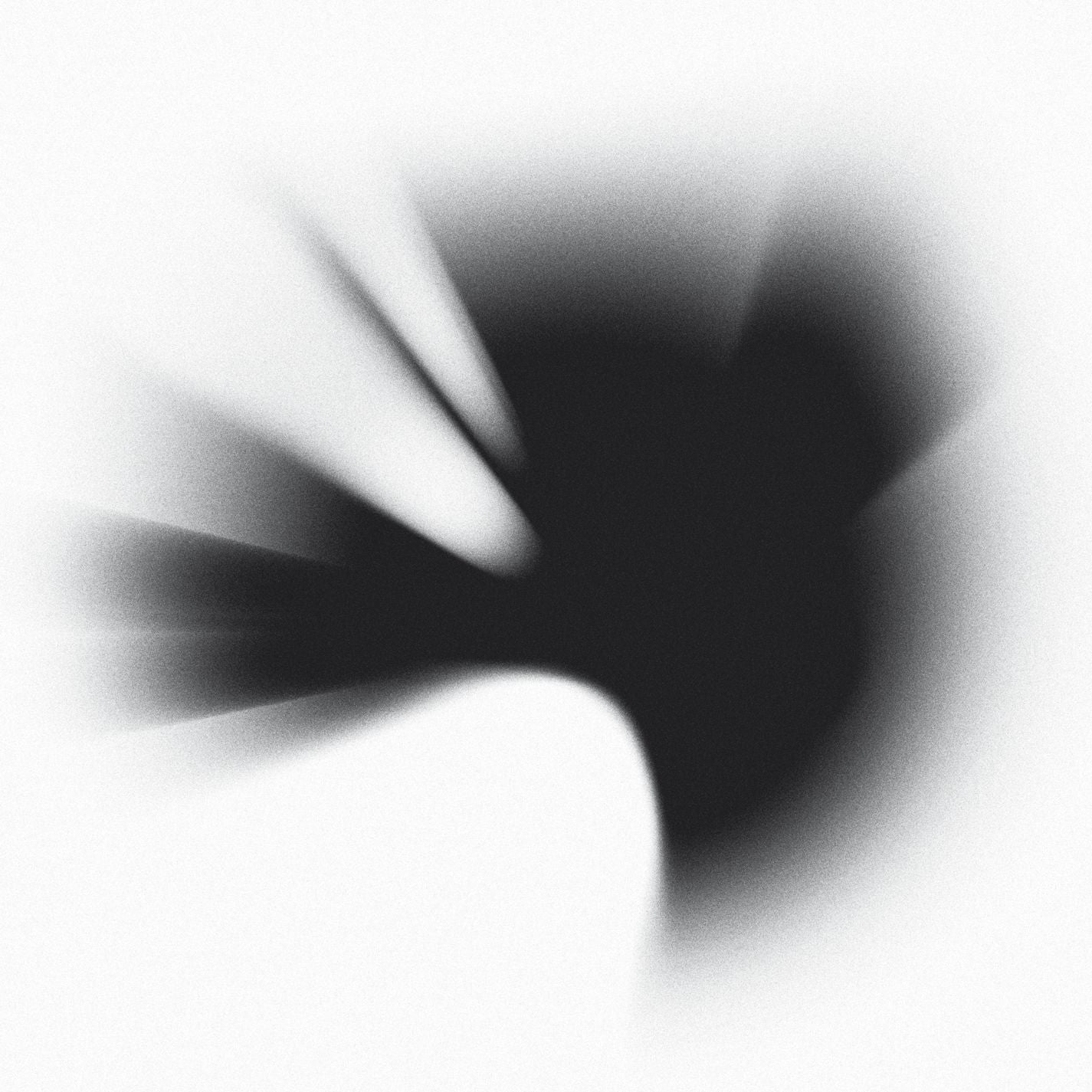 リンキンパーク『A Thousand Suns 』直筆サイン入りレコード リンキンパーク『A Thousand Suns 』直筆サイン入りレコード